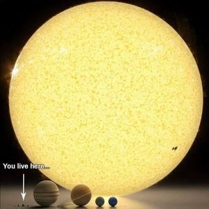 Meet your Posher, Dan